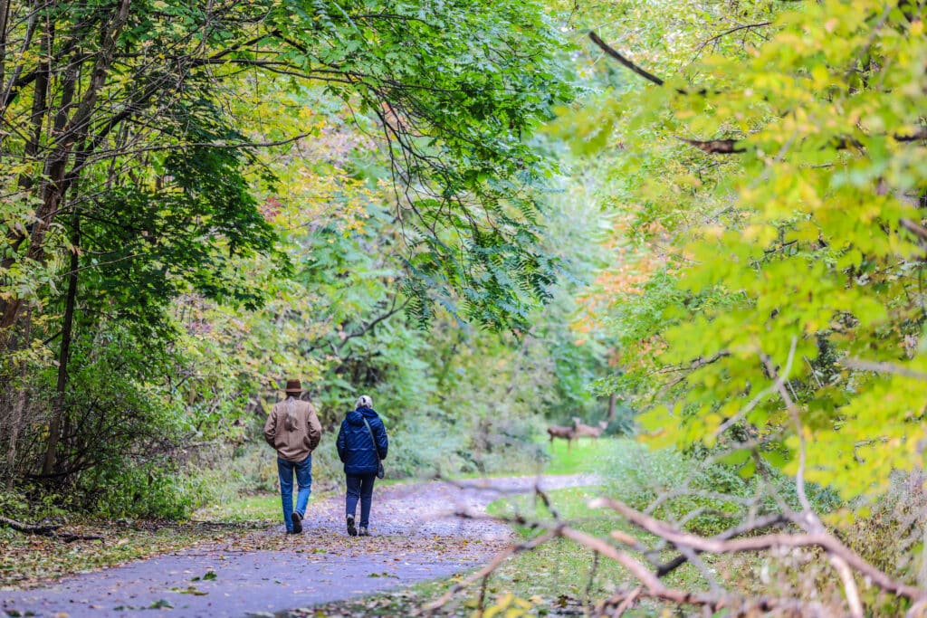 Couple walking hand in hand down a leafy trail in the Southern Finger Lakes