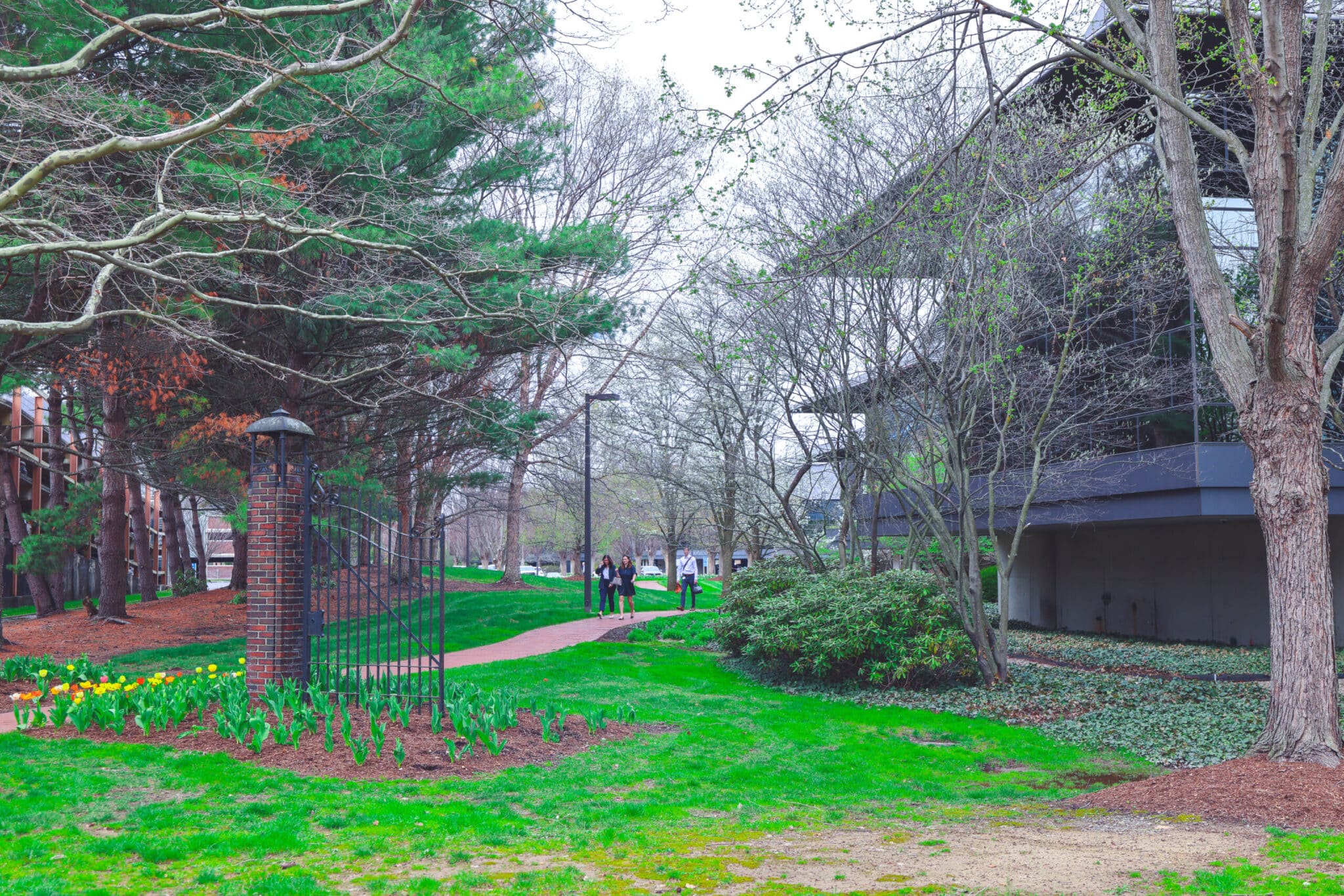 Walkers on a garden path lined with budding trees in early spring Corning, NY